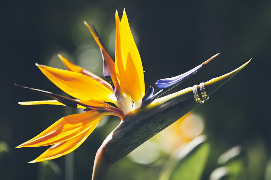 Boda en la playa de Tarifa en Hotel Tres Mares - Cuatro Corazones Fotografía por Juanlu Corrales