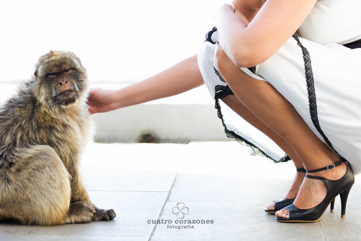 Boda en Gibraltar, Mons Calpe Suites y Alcaidesa Golf - Cuatro Corazones Fotografía por Juanlu Corrales