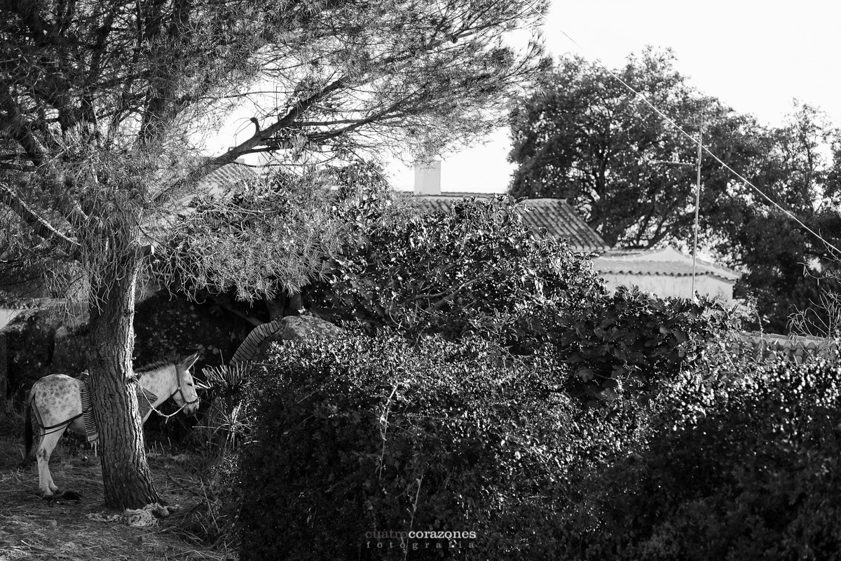 Cuatro Corazones Fotografía castillo de castellar