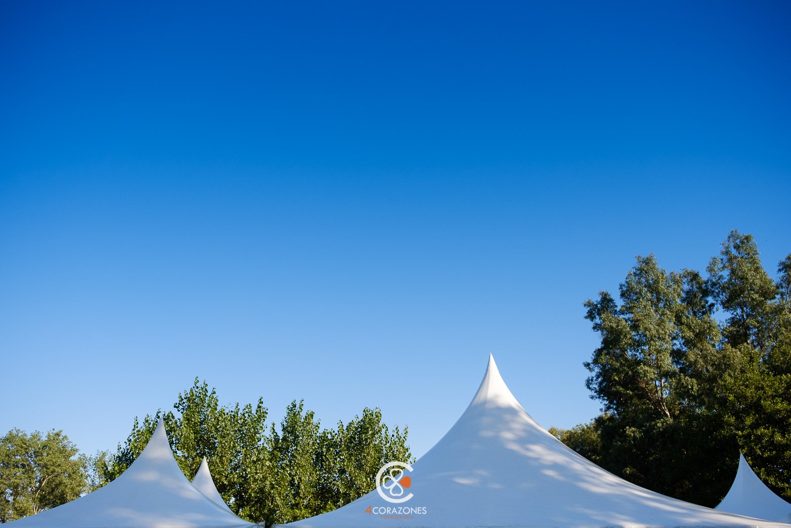 boda-en-los-barrios-jardin-de-villa-vega-paco-isa-001-cuatro-corazones-fotografia-juanlu-corrales