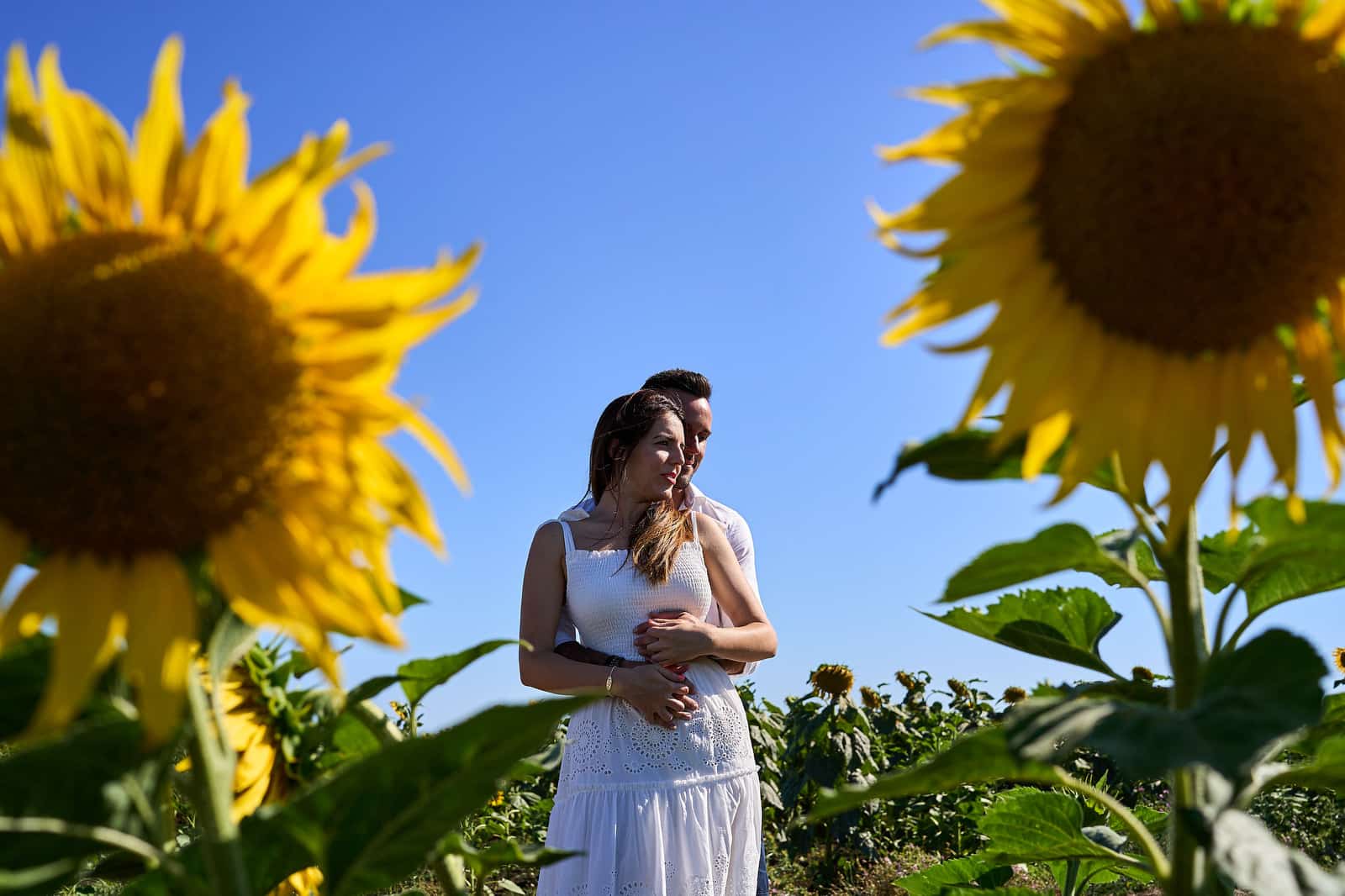 Preboda romántica con girasoles
